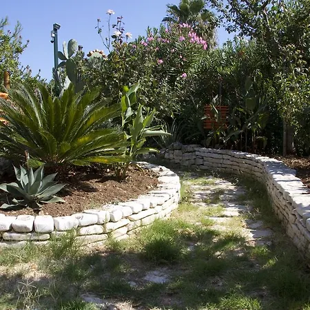 Oasi * ヴィエステ