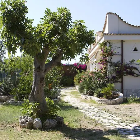 Oasi Beach Hotel
