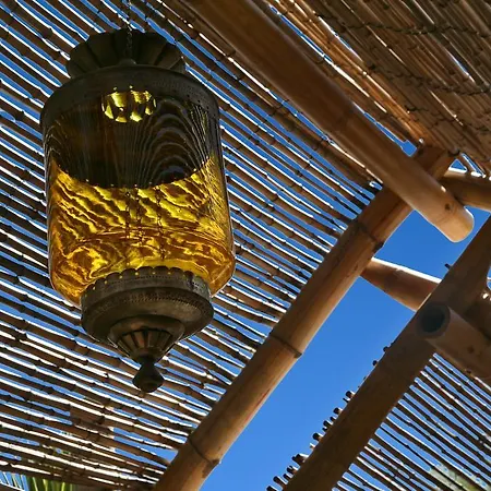 Oasi 호텔 비에스테