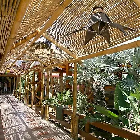 Oasi Hotel Vieste