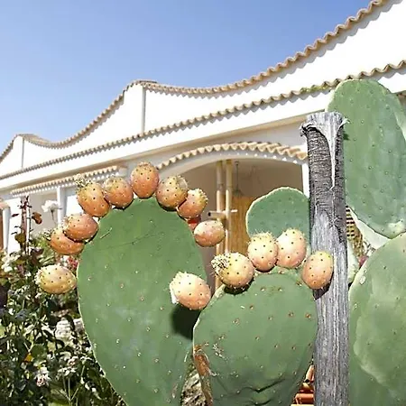 Oasi